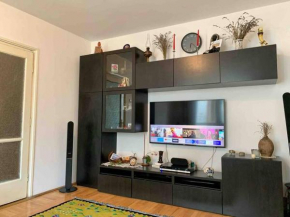 Central Apartment Muncii Area Netflix